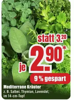 B1 Discount Baumarkt Mediterrane Kräuter Angebot