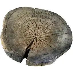 toom Baumarkt EHL Platte naturfarben Ø 25 - 40 x 3 cm Angebot