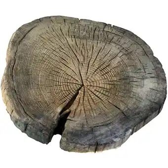 toom Baumarkt EHL Platte naturfarben Ø 25 - 40 x 3 cm Angebot