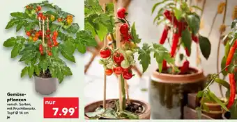 Kaufland Gemüse- pflanzen Angebot