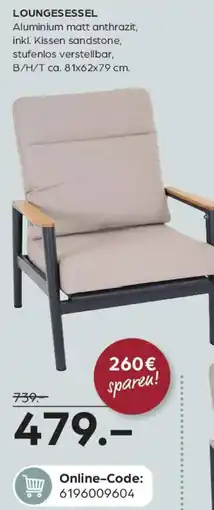 Möbel Buss Loungesessel Angebot