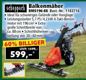 Norma Balkenmäher Angebot