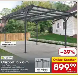 Netto Marken-Discount Carport 5 x 3 m Angebot