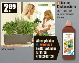 V Baumarkt Garten- Küchenkräuter Angebot