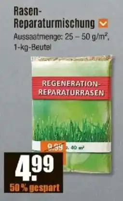V Baumarkt Rasen- Reparaturmischung Angebot