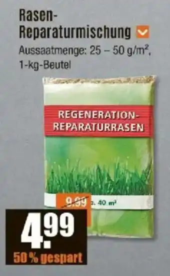 V Baumarkt Rasen- Reparaturmischung Angebot