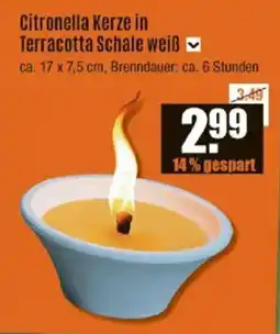 V Baumarkt Citronella Kerze Angebot