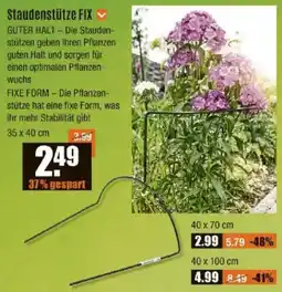 V Baumarkt Staudenstütze FIX Angebot