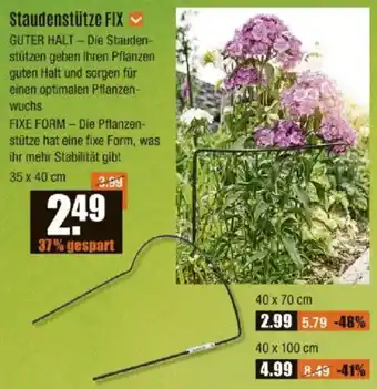 V Baumarkt Staudenstütze FIX Angebot