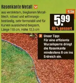 V Baumarkt Rasenkante Metall Angebot