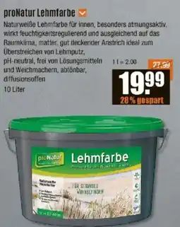 V Baumarkt proNatur Lehmfarbe Angebot