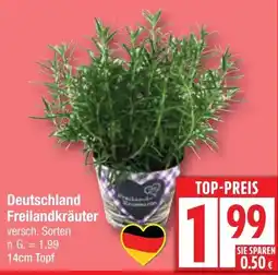 Edeka Deutschland Freilandkräuter Angebot