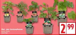 Edeka Obst- oder Gemüsepflanzen Angebot