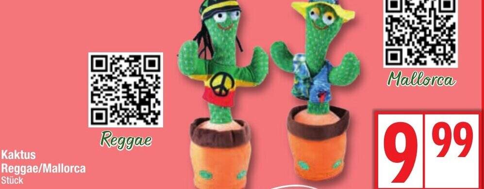 Kaktus Reggae/Mallorca Angebot bei Edeka
