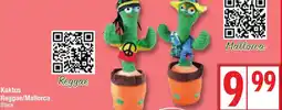 Edeka Kaktus Reggae/Mallorca Angebot