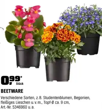 OBI Beetware Angebot