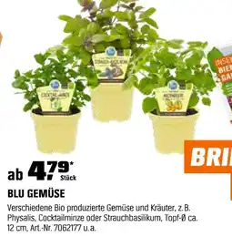 OBI Blu gemüse Angebot
