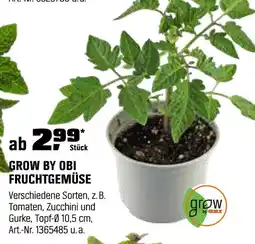 OBI Grow by obi fruchtgemüse Angebot