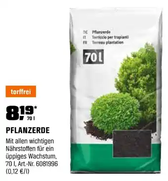 OBI Pflanzerde Angebot