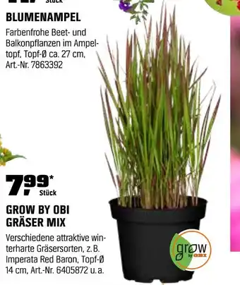 OBI Grow by obi gräser mix Angebot