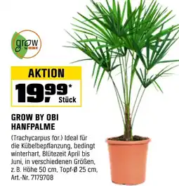 OBI Grow by obi hanfpalme Angebot