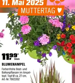 OBI Blumenampel Angebot