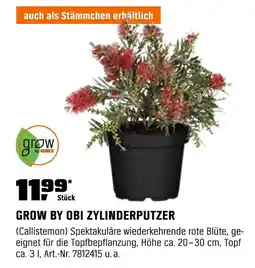 OBI Grow by obi zylinderputzer Angebot
