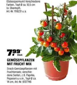 OBI Gemüsepflanzen mit frucht mix Angebot