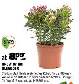 OBI Grow by obi oleander Angebot
