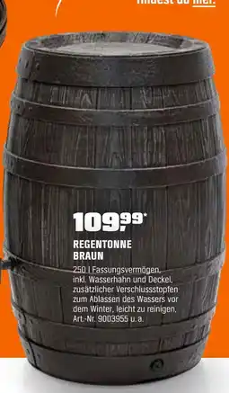 OBI Regentonne braun Angebot
