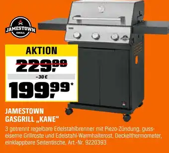 OBI Jamestown gasgrill „kane“ Angebot