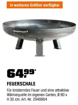 OBI Feuerschale Angebot