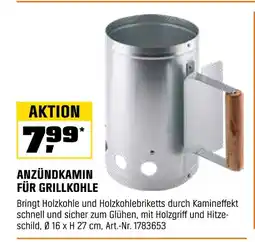 OBI Anzündkamin für grillkohle Angebot
