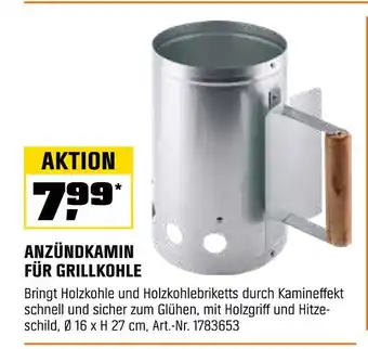OBI Anzündkamin für grillkohle Angebot