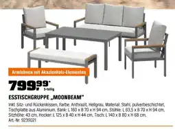 OBI Esstischgruppe moonbeam Angebot