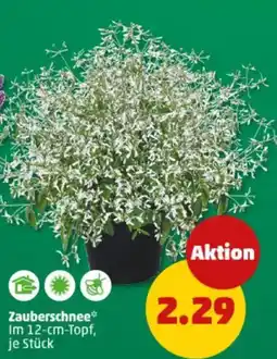 PENNY Zauberschnee Angebot