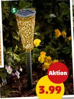 PENNY Solarstecker ROST Angebot