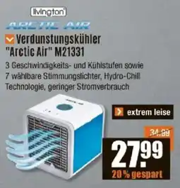 V Baumarkt livington ARCTIC AIR Verdunstungskühler "Arctic Air" M21331 Angebot