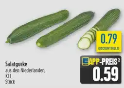 diska Salatgurke Angebot