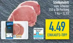 diska Stielkotelett Angebot