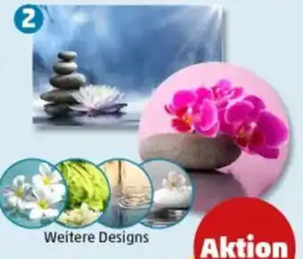 PENNY HOME IDEAS Living Badteppich Angebot