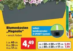 Thomas Philipps Blumenkasten ,,Magnolie Angebot