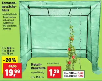Thomas Philipps Tomaten- gewächs- haus Angebot