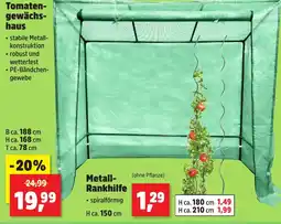Thomas Philipps Metall- Rankhilfe Angebot