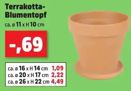 Thomas Philipps Terrakotta- Blumentopf Angebot