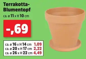 Thomas Philipps Terrakotta- Blumentopf Angebot