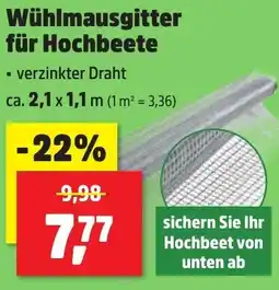 Thomas Philipps Wühlmausgitter für Hochbeete Angebot