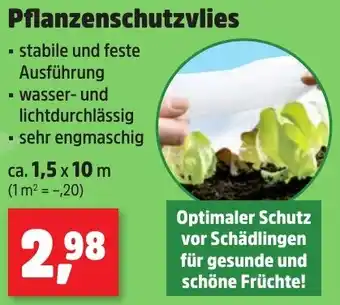 Thomas Philipps Pflanzenschutzvlies Angebot