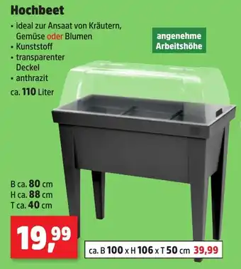 Thomas Philipps Hochbeet Angebot