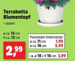 Thomas Philipps Terrakotta Blumentopf Angebot
